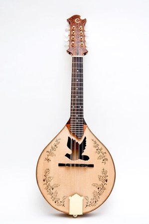 Dove Sound hole mandolin