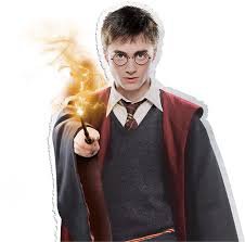harry potter - Google Search