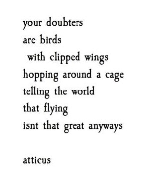 bird poem