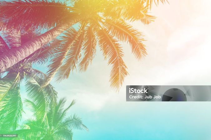 Tropical Palm Tree With Colorful Bokeh Sun Light On Sunset Sky Cloud Abstract Background Summer Vacation And Nature Travel Adventure Concept Vintage Tone Filter Effect Color Style Stock Photo - Download Image Now - iStock