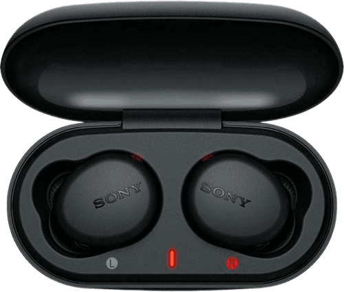 Sony WF-XB700 TWS Bluetooth Earphones