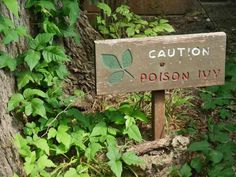 Poison Ivy 'Caution' sign