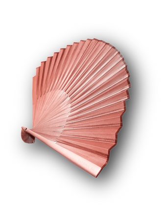 pink hand fan accessories