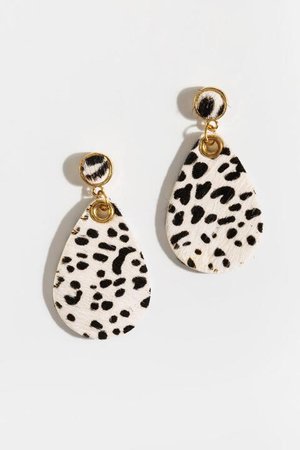 Jayla Cheetah Teardrop Earrings | francesca's