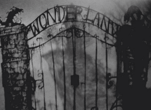 • creepy horror dark Alice In Wonderland fear wonderland darkness thriller Macabre terror gory obscure obscurity blac adn white ricchan99 •