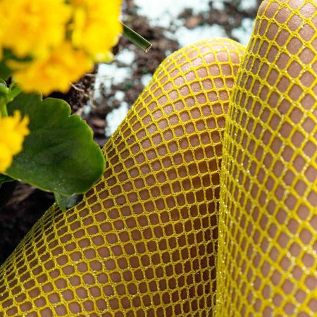 Yellow fishnets