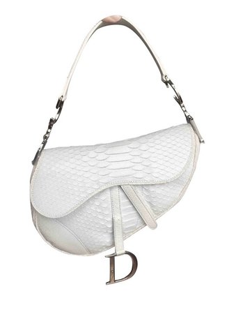 Dior Saddle Bag white python