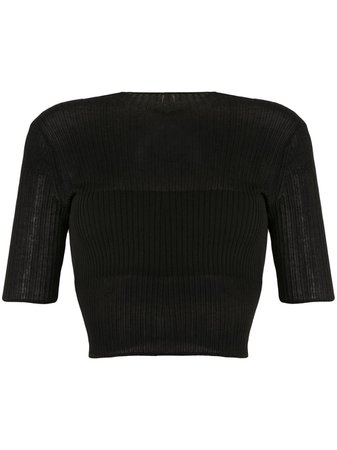 Dion Lee Sheer Ribbed Cropped Top Ss20 | Farfetch.com