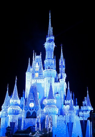 Cinderella's Castle At Night