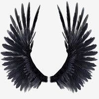 Dark Wings