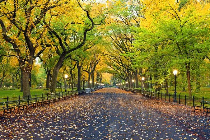 Visiting New York's Central Park: 14 Top Attractions | PlanetWare