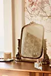 Gleaming Primrose Vanity Mirror | AnthroLiving