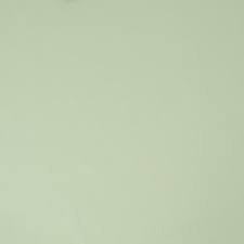 solid pale green background - Google Search