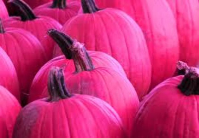 Pink Pumpkins Raise Breast Cancer Awareness
