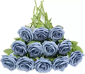soft cornflower blue roses