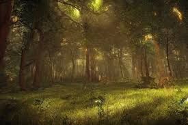 enchanted forest - Google Search