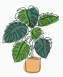 plant drawing - Google Search