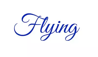 Flying - Word of the Week - Raisie Bay
