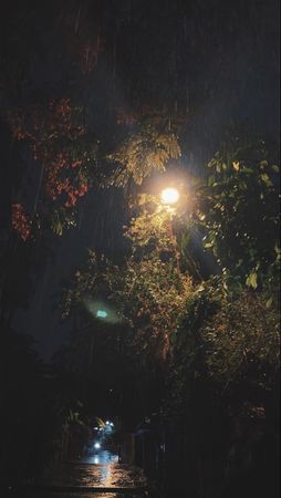 night rainy 🌧