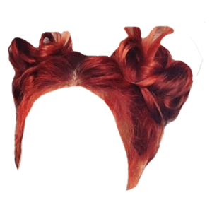 Red Space Buns Hair PNG