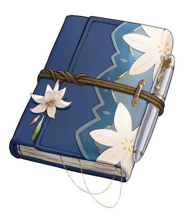 lily notebook