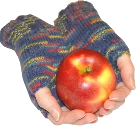 freetoedit apple fruit food sticker by @pastelstegosaurus