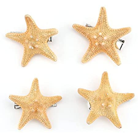 Amazon.com : OBTANIM 2 Pcs Starfish Hair Clip Resin Beach Sea Star Hair Pins Mermaid Hair Clips Accessories for Women and Girls : Beauty & Personal Care