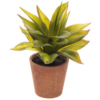 Succulent In Brown Pot | Hobby Lobby | 1733153