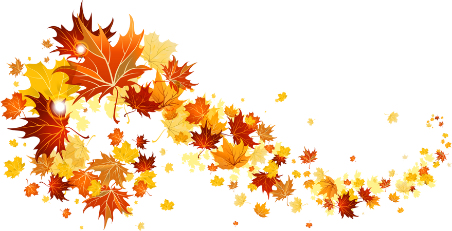 (1) fall leaves png - Bing images