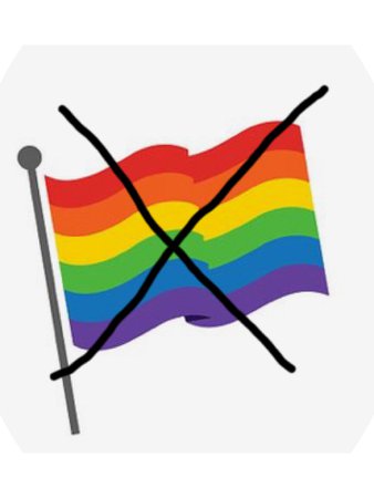 homophobic flag