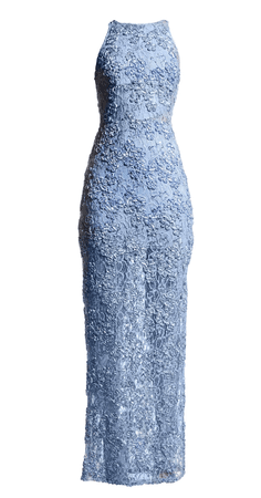SHO Ribbon & Sequin Lace Column Gown