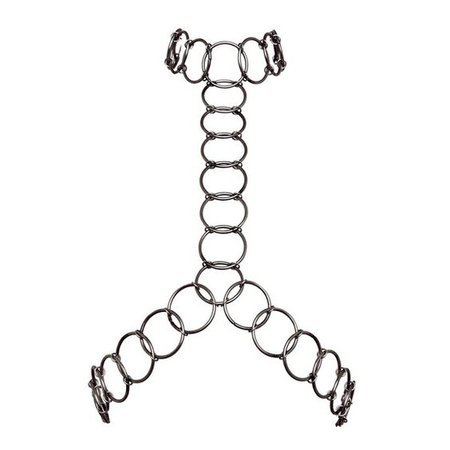 Fannie Schiavoni Large Ring Body Chain ($380)