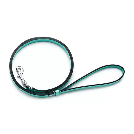 Sabi leash in Tiffany Blue® leather, small. | Tiffany & Co.