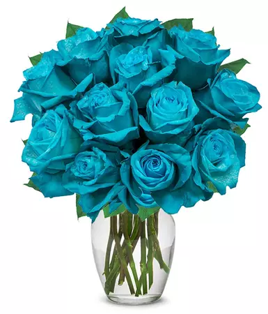 One Dozen Teal Roses at From You Flowers