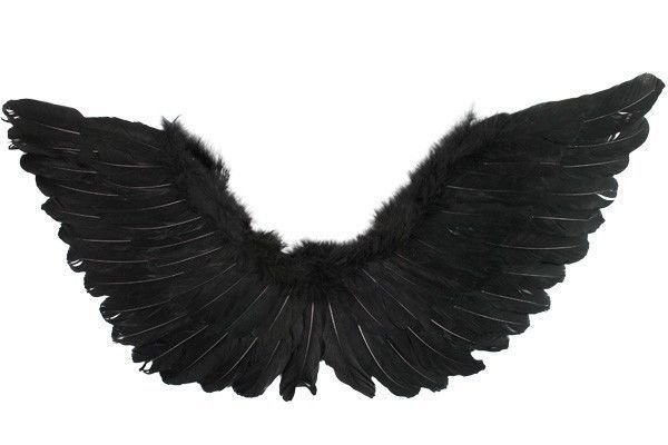 New Deluxe Extra Large Feather Wings Fallen Angel Black Costume