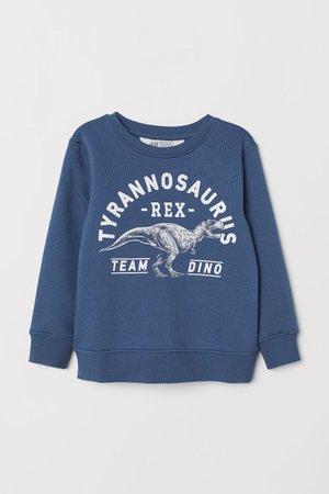 Sweatshirt with Printed Design - Blue/dinosaur - Kids | H&M CA