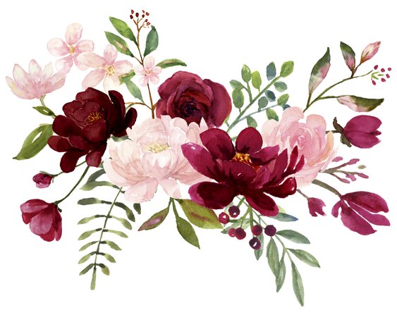 Blush and Burgundy Flowers Watercolor Clipart Collection