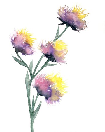 Watercolor flowers watercolor flower print floral | Etsy
