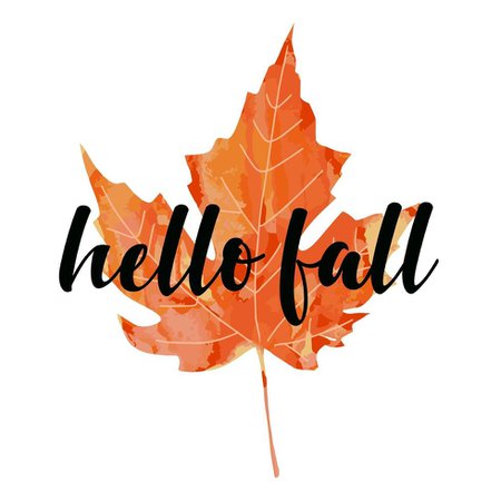 Beautiful calligraphy lettering text - Hello Fall. Bright orange red watercolor artistic maple leaf vector illustration isolated on white background. Autumn welcoming greeting poster design. 2933267 Vector Art at Vecteezy