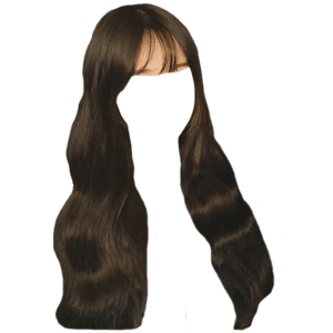 Brown Black Hair PNG