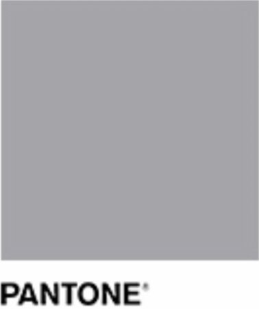 ultimate Gray Pantone color