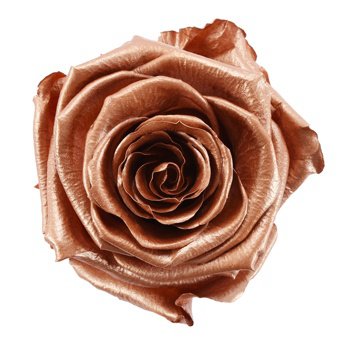 rose gold flower - Google Search