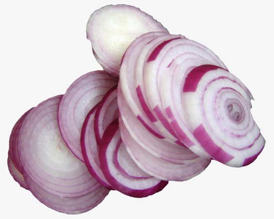 onions slice png - Buscar con Google