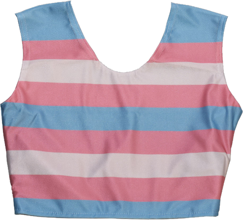 trans pride flag chest binder transgender transmasc ftm