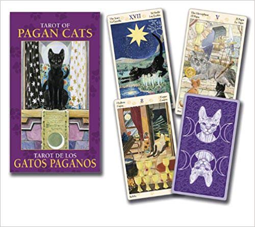 Tarot of Pagan Cats Mini Deck: Lo Scarabeo: 9780738735023: Books - Amazon.ca