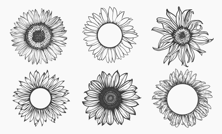 boho sunflowers outline - Google Search