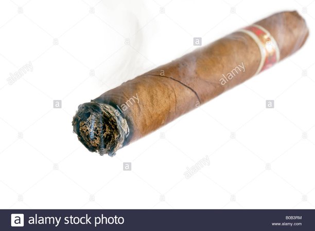 Smoking Havana Cigar Stock Photo