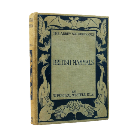 Percival Westell | British Mammals
