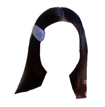 Hair PNG with Brooch