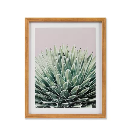 Framed Cactus Wall Print 2pk White/Green 20"x16" - Project 62™